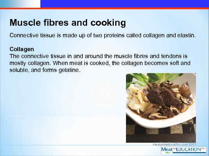 Muscle fibres and cooking Connective tissue is made up of two proteins called collagen