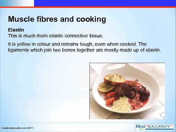 Muscle fibres and cooking Elastin This is much more elastic connective tissue. It is