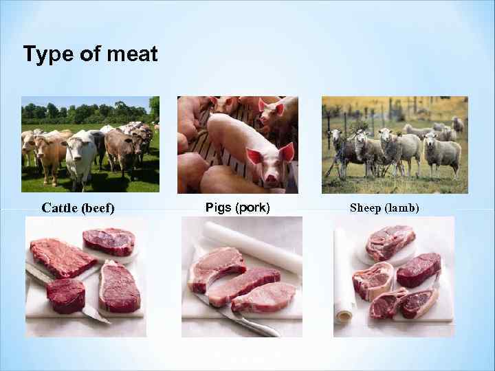 Type of meat Cattle (beef) Pigs (pork) Sheep (lamb) 