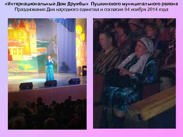  «Интернациональный Дом Дружбы» Пушкинского муниципального района Празднование Дня народного единства и согласия 04