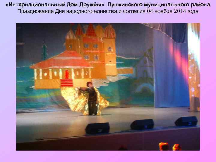  «Интернациональный Дом Дружбы» Пушкинского муниципального района Празднование Дня народного единства и согласия 04