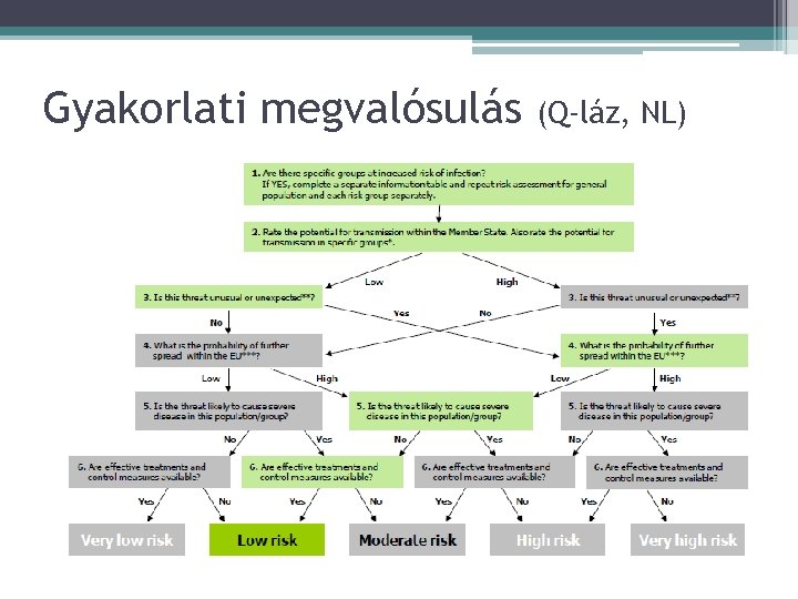 Gyakorlati megvalósulás (Q-láz, NL) 