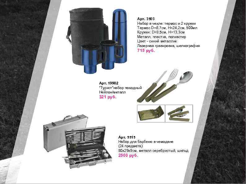 Арт. 3503 Набор в чехле: термос и 2 кружки Термос D=6, 7 см, H=24,