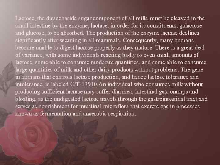 Lactose, the disaccharide sugar component of all milk, must be cleaved in the small