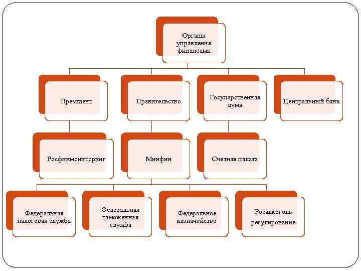 Органы управления финансами Президент Правительство Государственная дума Росфинмониторинг Минфин Счетная палата Федеральная налоговая служба