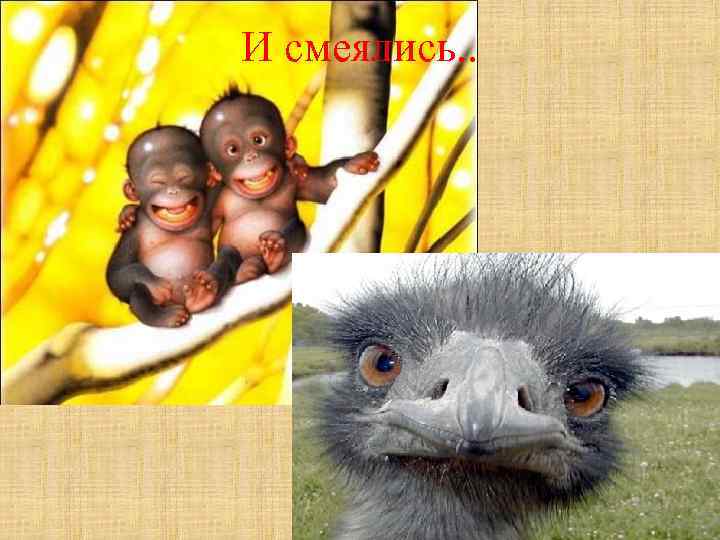 И смеялись. . 