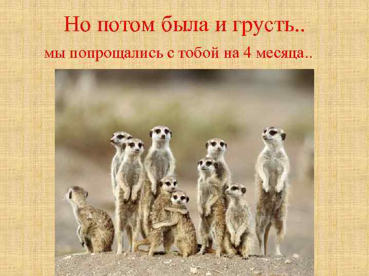 Но потом была и грусть. . мы попрощались с тобой на 4 месяца. .