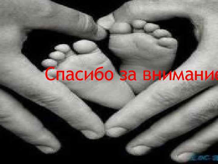 Спасибо за внимание 