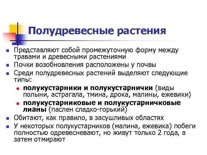 Полудревесные растения n n n Представляют собой промежуточную форму между травами и древесными растениями