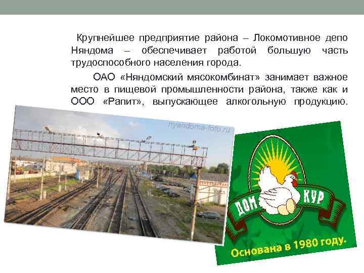  Крупнейшее предприятие района – Локомотивное депо Няндома – обеспечивает работой большую часть трудоспособного