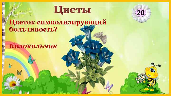 Цветы Цветок символизирующий болтливость? Колокольчик 20 