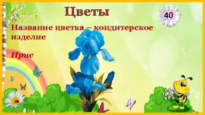 Цветы Название цветка – кондитерское изделие Ирис 40 