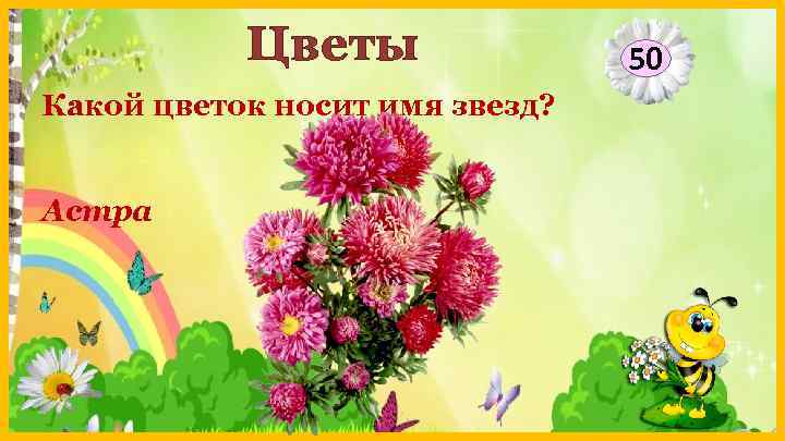 Цветы Какой цветок носит имя звезд? Астра 50 