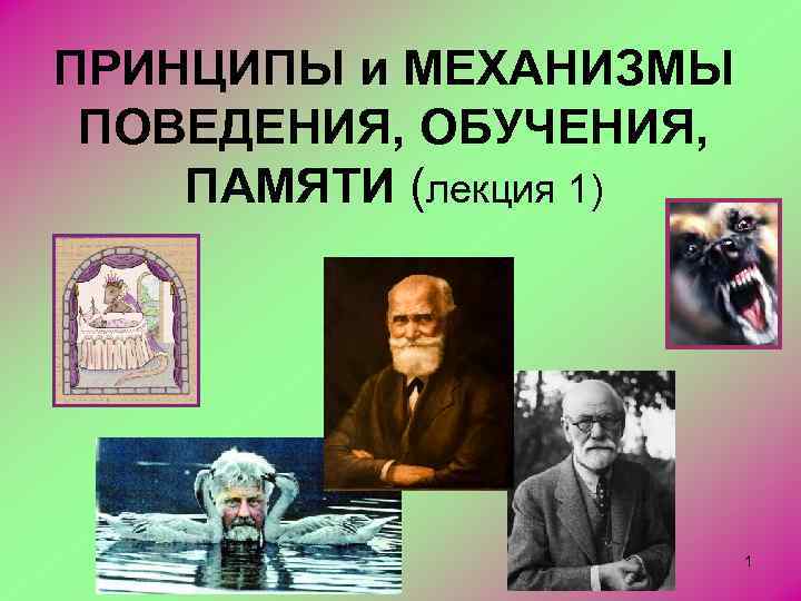 ПРИНЦИПЫ и МЕХАНИЗМЫ ПОВЕДЕНИЯ, ОБУЧЕНИЯ, ПАМЯТИ (лекция 1) 1 