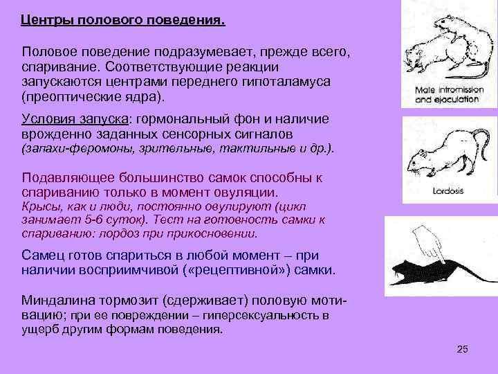 Что значит центр. Полового поведения. Центр полового поведения. Половое поведение человека. Половые поведенческие реакции..