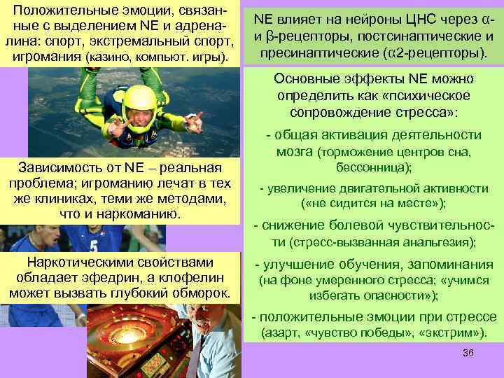 Положительные эмоции, связанные с выделением NE и адреналина: спорт, экстремальный спорт, игромания (казино, компьют.