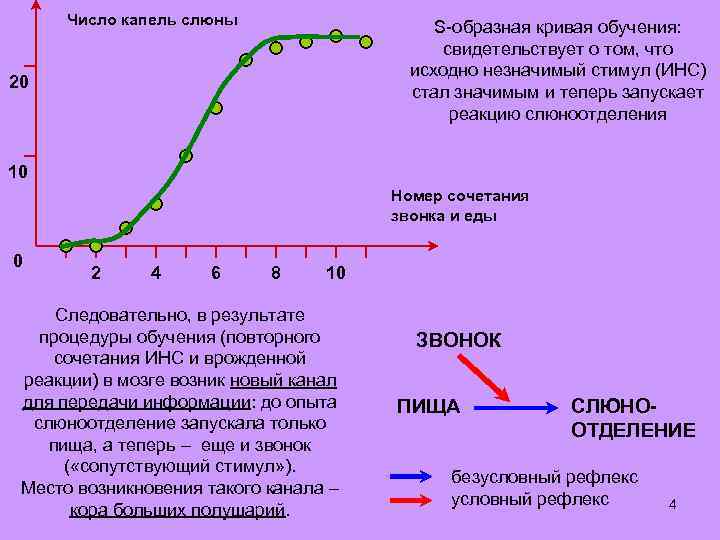 Кривая изучения