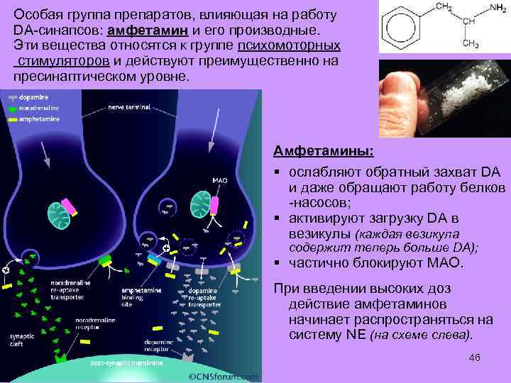 Особая группа препаратов, влияющая на работу DA-синапсов: амфетамин и его производные. Эти вещества относятся