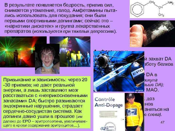 В результате появляется бодрость, прилив сил, снимается утомление, голод. Амфетамины пытались использовать для похудания;