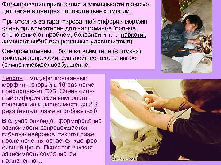 Формирование привыкания и зависимости происходит также в центрах положительных эмоций. При этом из-за гарантированной