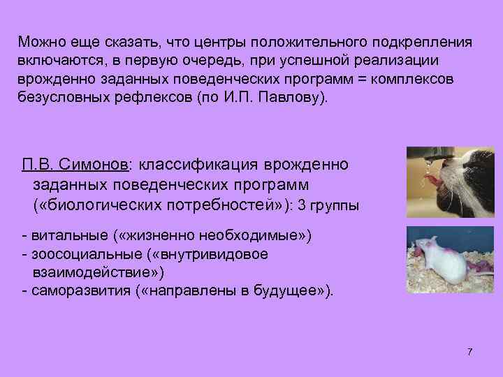 Можно еще сказать, что центры положительного подкрепления включаются, в первую очередь, при успешной реализации