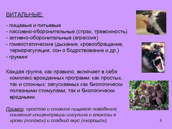 ВИТАЛЬНЫЕ: - пищевые и питьевые - пассивно-оборонительные (страх, тревожность) - активно-оборонительные (агрессия) - гомеостатические