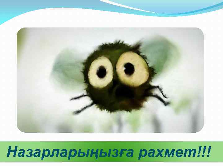  Назарларыңызға рахмет!!! 