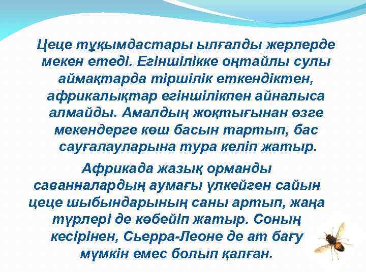 Цеце тұқымдастары ылғалды жерлерде мекен етеді. Егіншілікке оңтайлы сулы аймақтарда тіршілік еткендіктен, африкалықтар егіншілікпен