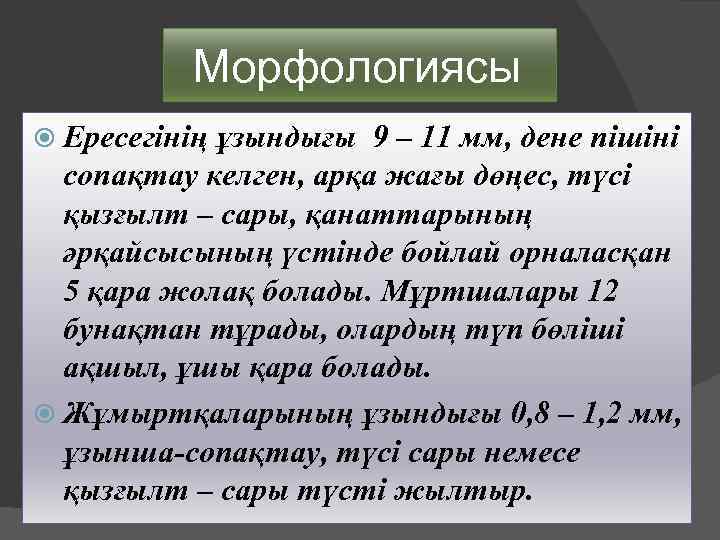  Морфологиясы Ересегінің ұзындығы 9 – 11 мм, дене пішіні сопақтау келген, арқа жағы