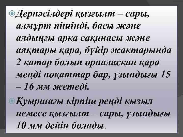  Дернәсілдері қызғылт – сары, алмұрт пішінді, басы және алдыңғы арқа сақинасы және аяқтары