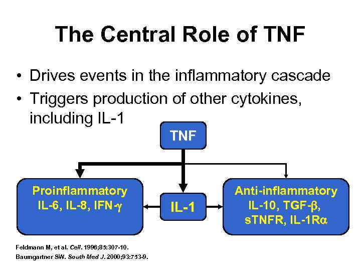 The Central Role of TNF • Drives events in the inflammatory cascade • Triggers