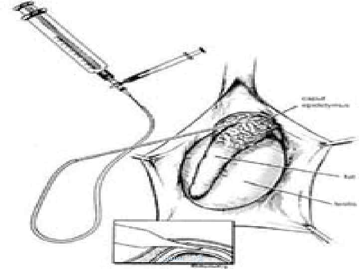 Кабатин Н. А© 