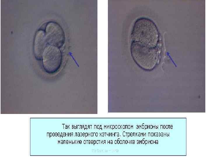 Кабатин Н. А© 