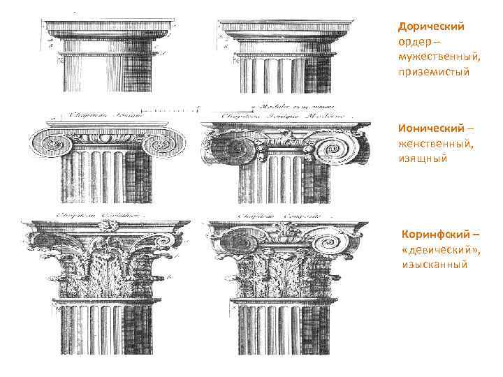 Дорический ордер – мужественный, приземистый Ионический – женственный, изящный Коринфский – «девический» , изысканный