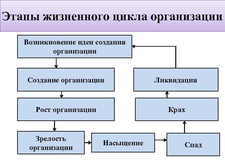 Этапы жизненного цикла организации Возникновение идеи создания организации Создание организации Ликвидация Рост организации Крах