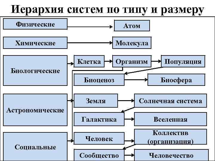 Иерархия систем по типу и размеру Физические Атом Химические Молекула Клетка Организм Популяция Биологические