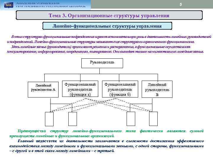 Функциональная структура региона. Управление деятельностью функционального подразделения. Директор функциональные подразделения линейные звенья. Функциональная структура хозяйства. Преимуществами функциональной структуры управления являются:.