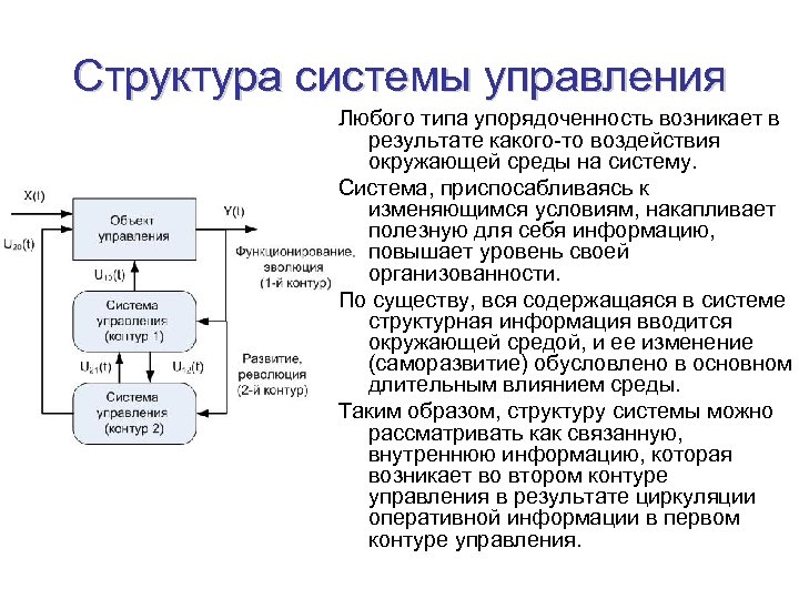 Структура системы управления Любого типа упорядоченность возникает в результате какого-то воздействия окружающей среды на
