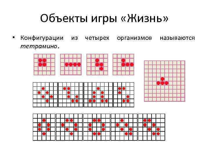 Объекты игры «Жизнь» • Конфигурации тетрамино. из четырех организмов называются 