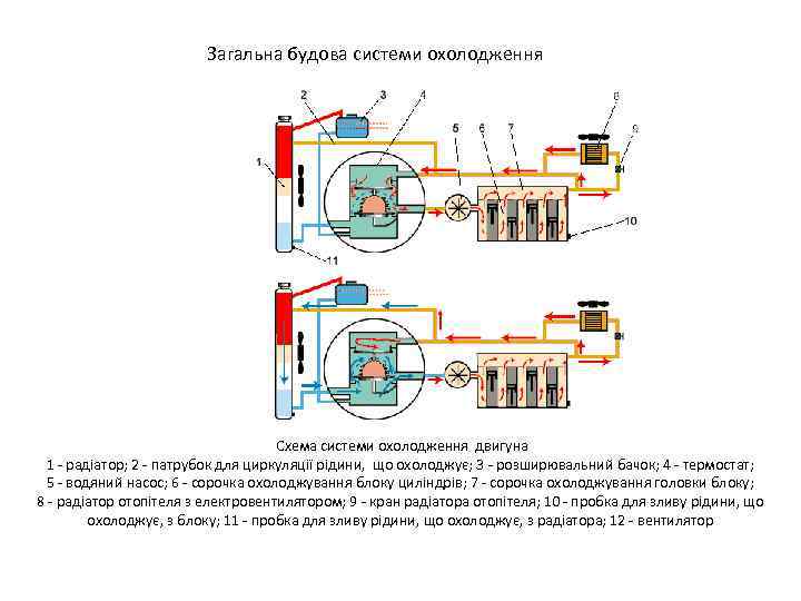 Загальна будова системи охолодження Схема системи охолодження двигуна 1 - радіатор; 2 - патрубок