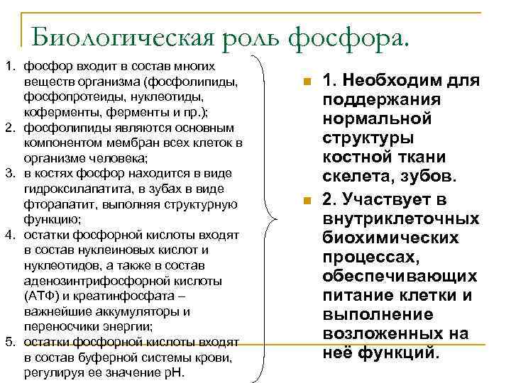 Биологическая роль фосфора. 1. фосфор входит в состав многих веществ организма (фосфолипиды, фосфопротеиды, нуклеотиды,