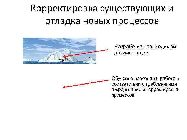 Корректировка существующих и отладка новых процессов Разработка необходимой документации Обучение персонала работе в соответствии