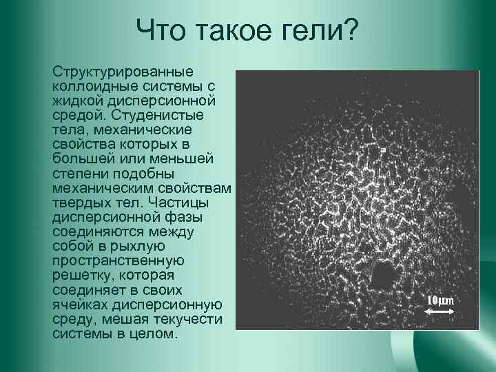 Что такое гели? Структурированные коллоидные системы с жидкой дисперсионной средой. Студенистые тела, механические свойства