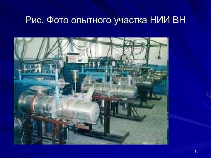 Рис. Фото опытного участка НИИ ВН 10 