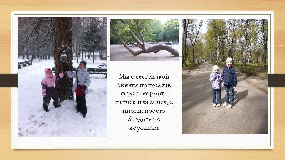 Мы с сестричкой любим приходить сюда и кормить птичек и белочек, а иногда просто