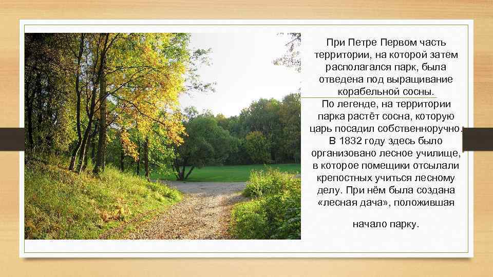 При Петре Первом часть территории, на которой затем располагался парк, была отведена под выращивание