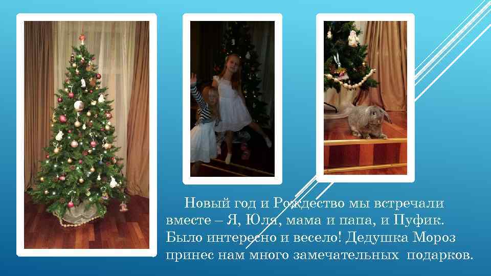 Новый год и Рождество мы встречали вместе – Я, Юля, мама и папа, и