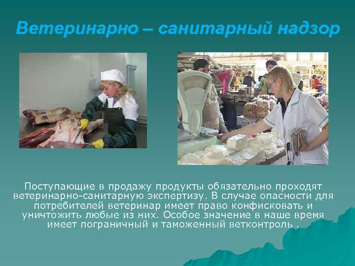 Ветеринарно – санитарный надзор Поступающие в продажу продукты обязательно проходят ветеринарно-санитарную экспертизу. В случае