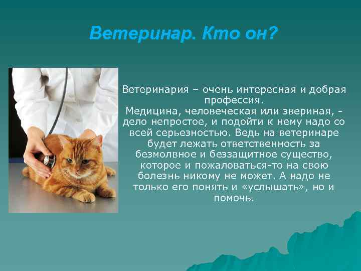 Ветеринар. Кто он? Ветеринария – очень интересная и добрая профессия. Медицина, человеческая или звериная,