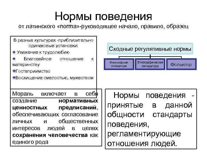 Нормы поведения от латинского «norma» -руководящее начало, правило, образец В разных культурах -приблизительно одинаковые